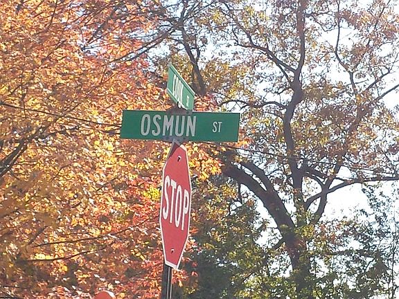 5th image of 5122 Osmun St