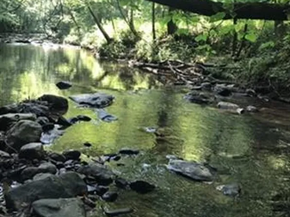 495 Little Refuge Rd, Waleska, GA 30183