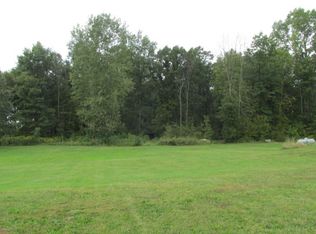 10480 Dorwood Rd, Burt, MI 48417