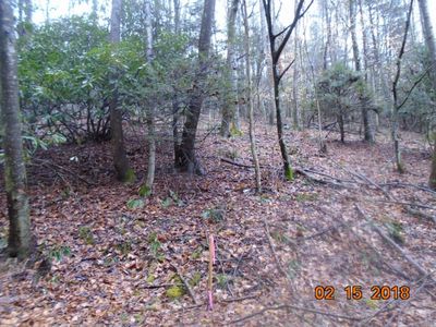Tbd Bill Branch Rd, Butler, TN, 37640