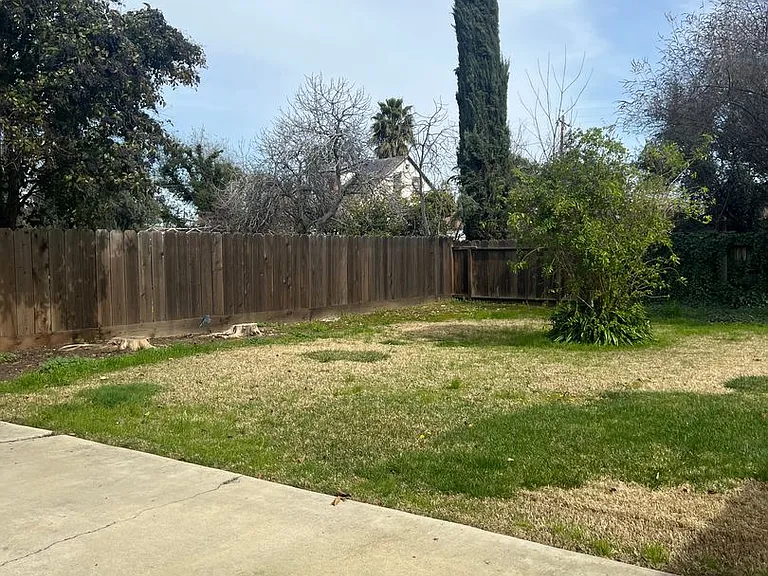 790 Sycamore Ave — Photo 3