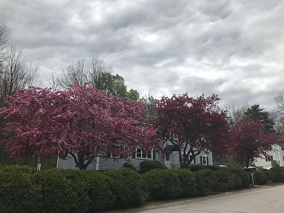 2nd image of 5 Dora Dr