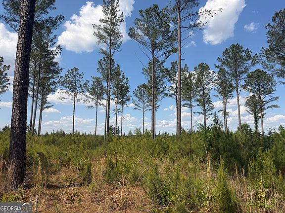 5th image of 0 Poplar Springs Rd