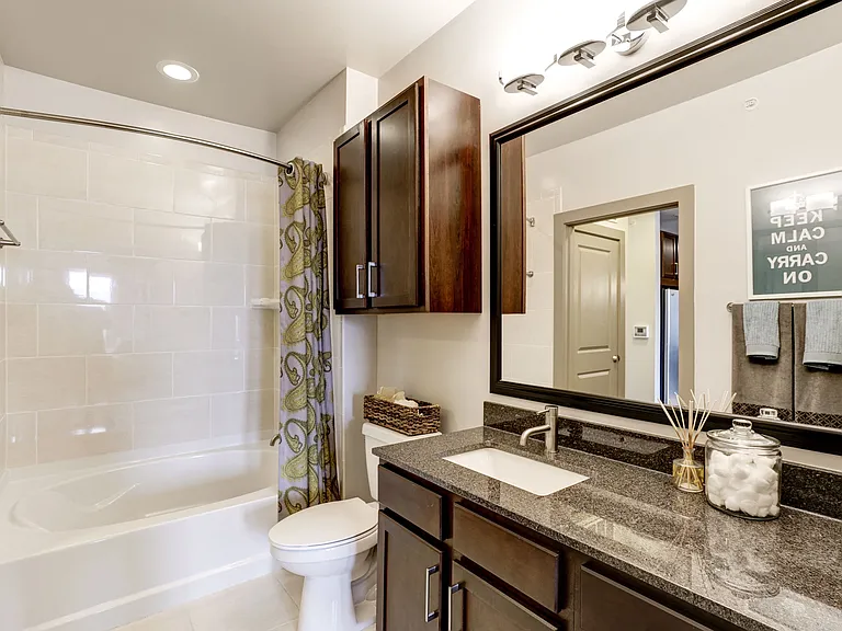 Spa-Inspired Baths