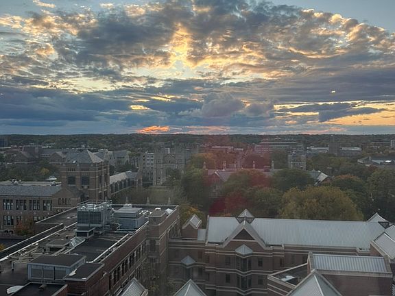 View from study area/rooftop