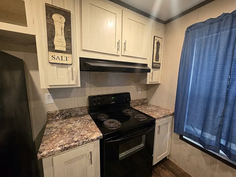 Swan Lake - Rent to Own — Photo 63