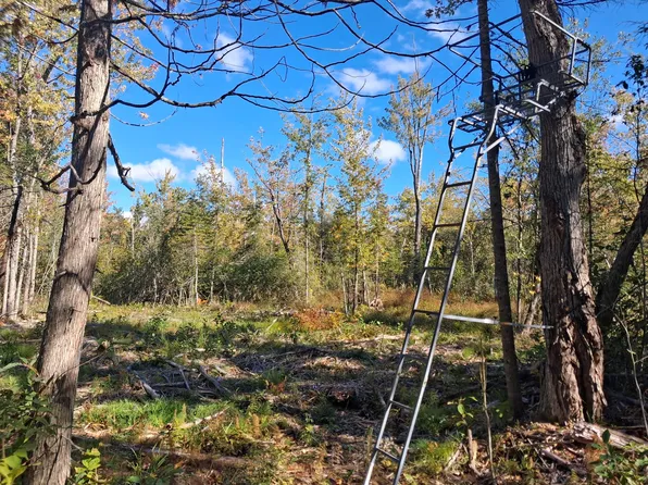 Zolner Rd, Cheboygan, MI 49721