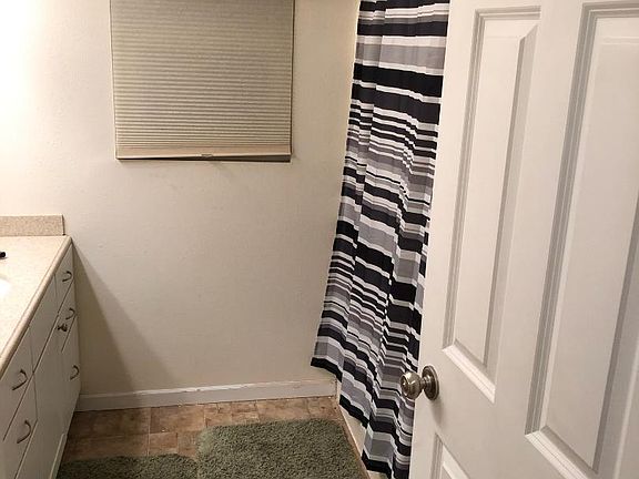 Lower level bathroom