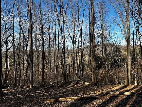 4th image of 2725 Seven Springs Rd