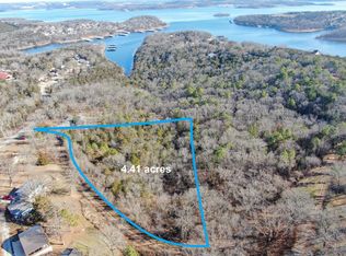50 Low Tide Ct, Blue Eye, MO 65611