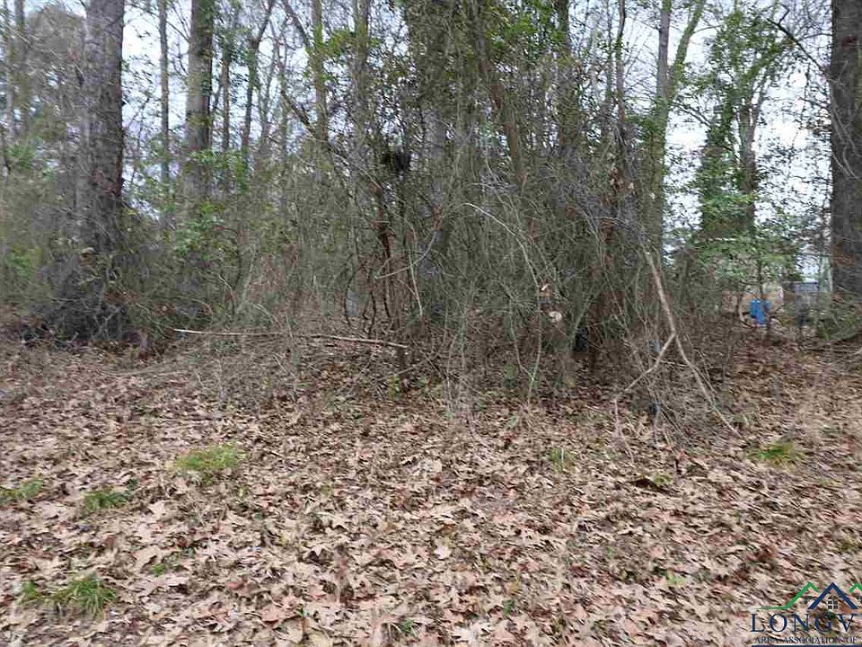 2nd image of Mockingbird Ln