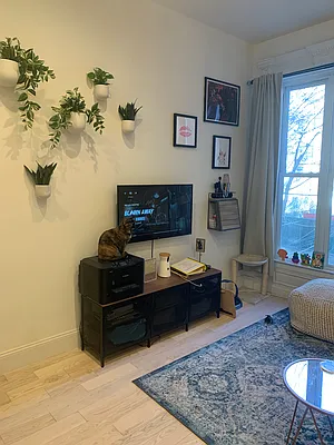 Rented by 3 Quincy Corp. | media 1