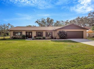 11019 Hannaway Dr, Riverview, FL 33578