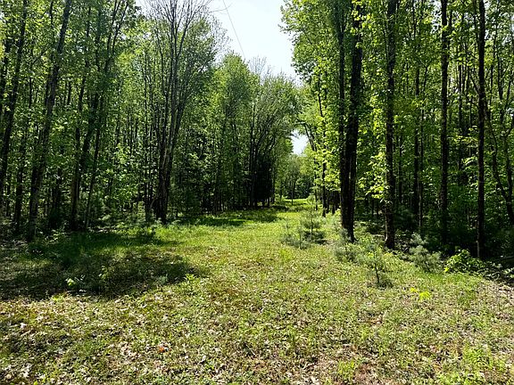 3rd image of 1.8 Marsh Rd #8