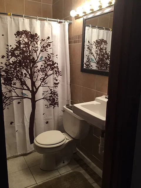 3 bed, 1000 sqft, $1,900 — Photo 1