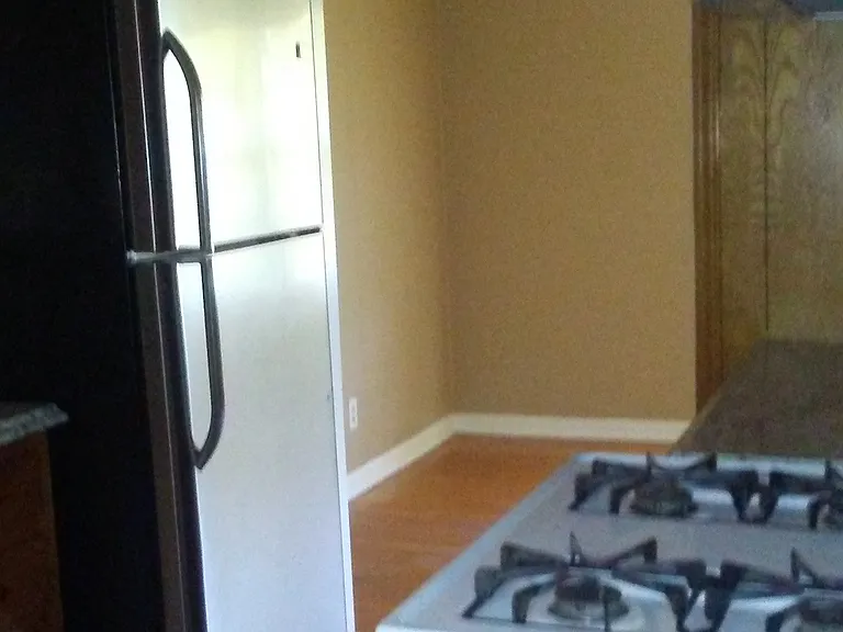 4611 Boeingshire Dr — Photo 7