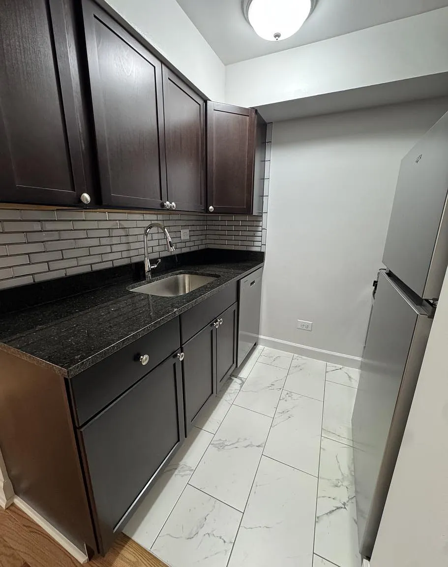 6830 North Sheridan Road #263 — Photo 3