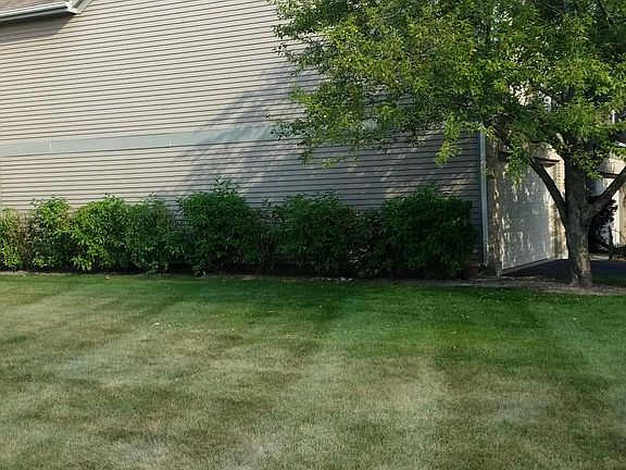 2nd image of 7 Oxford Ct #7
