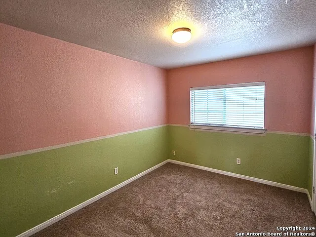 208 Springtree Cv — Photo 26