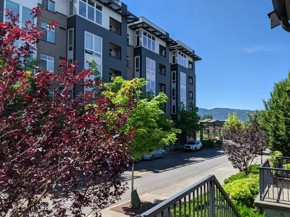 976 NE Discovery Dr, Issaquah, WA 98029