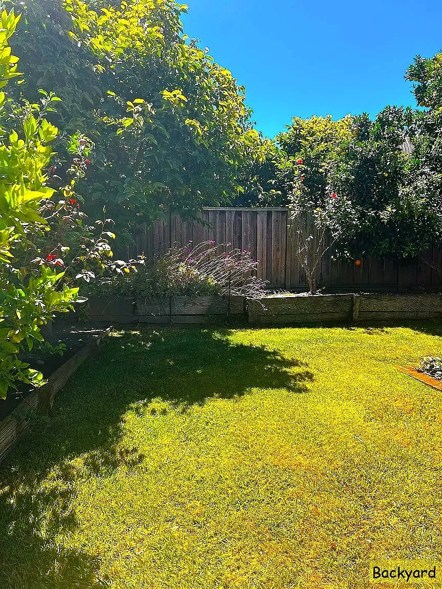 3 bed, 1600 sqft, $4,500 — Photo 2