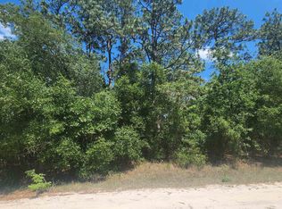 218 Summit Rd, Satsuma, FL 32189