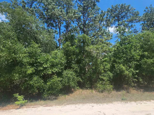 218 Summit Rd, Satsuma, FL 32189