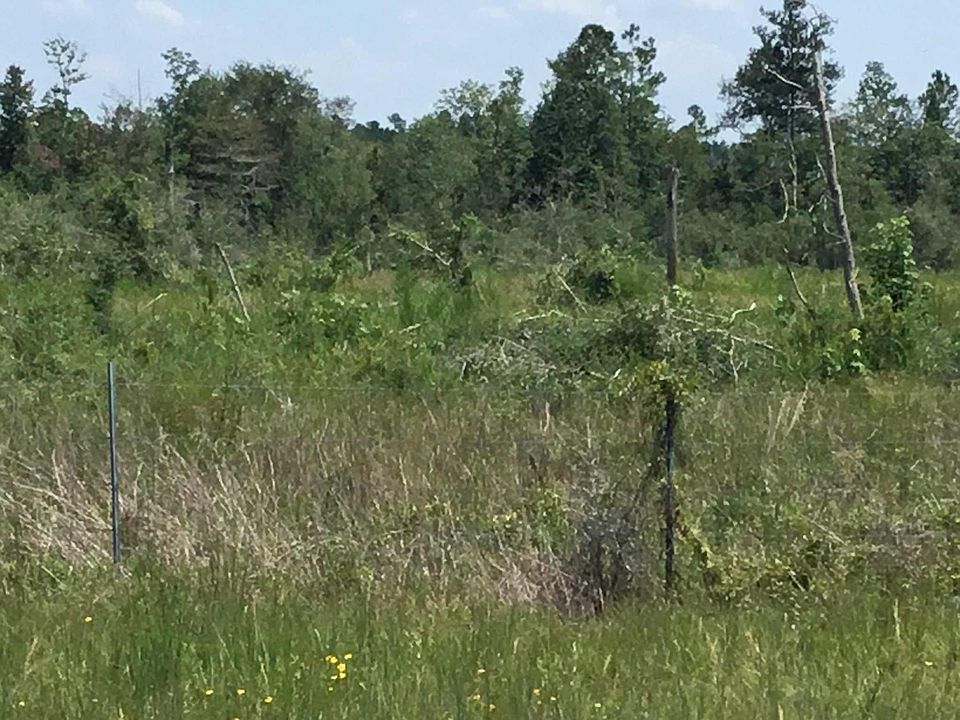 1st image of Us Highway 171