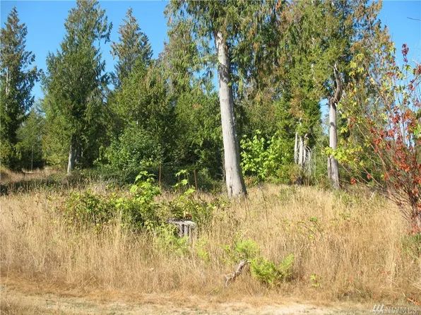342 E Orchid Ln, Grapeview, WA 98546