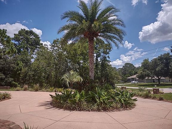 Center Island Tree & Plants