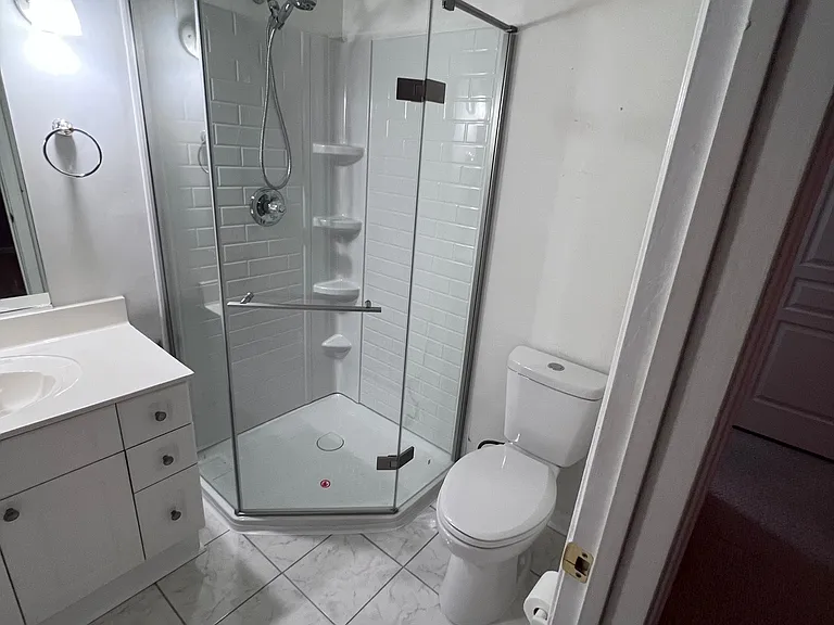 Primary Suite downstairs bathroom shower