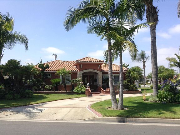 beautiful palm trees back and front of the house, exotic pla