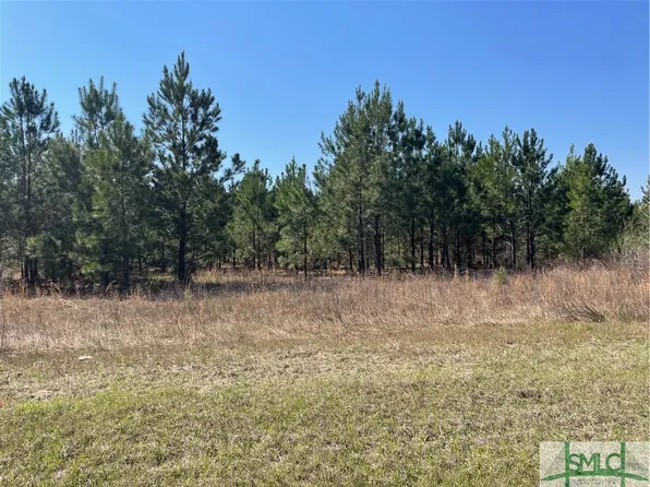 0 Effingham Highway, Sylvania, GA 30467