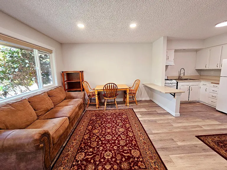 Living, dining and kitchen