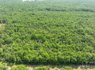 PARCEL 2 S 72nd Ave, Montague, MI 49437