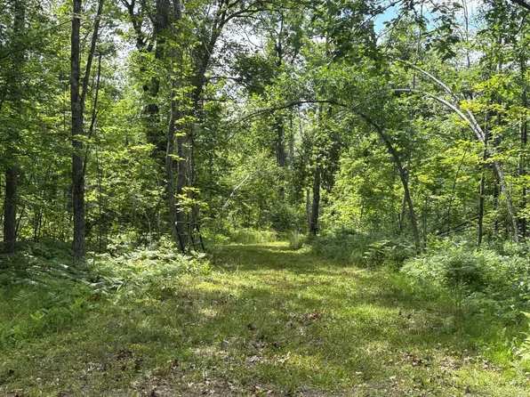 599XX Tamarack River Rd, Sandstone, MN 55072