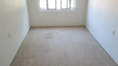 North Oakland Properties — Photo 7