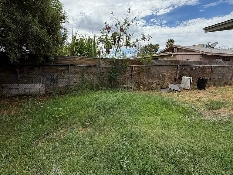 Backyard (Old Photo, will update with cleaned up photo soon)