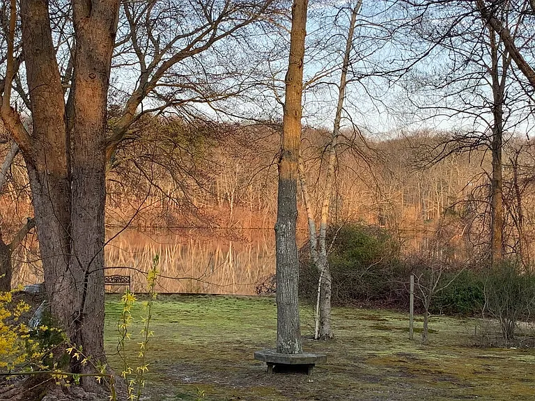 Mill Pond Ln — Photo 15