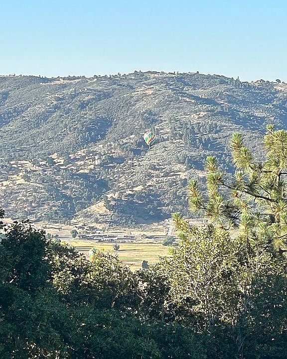 View from driveway