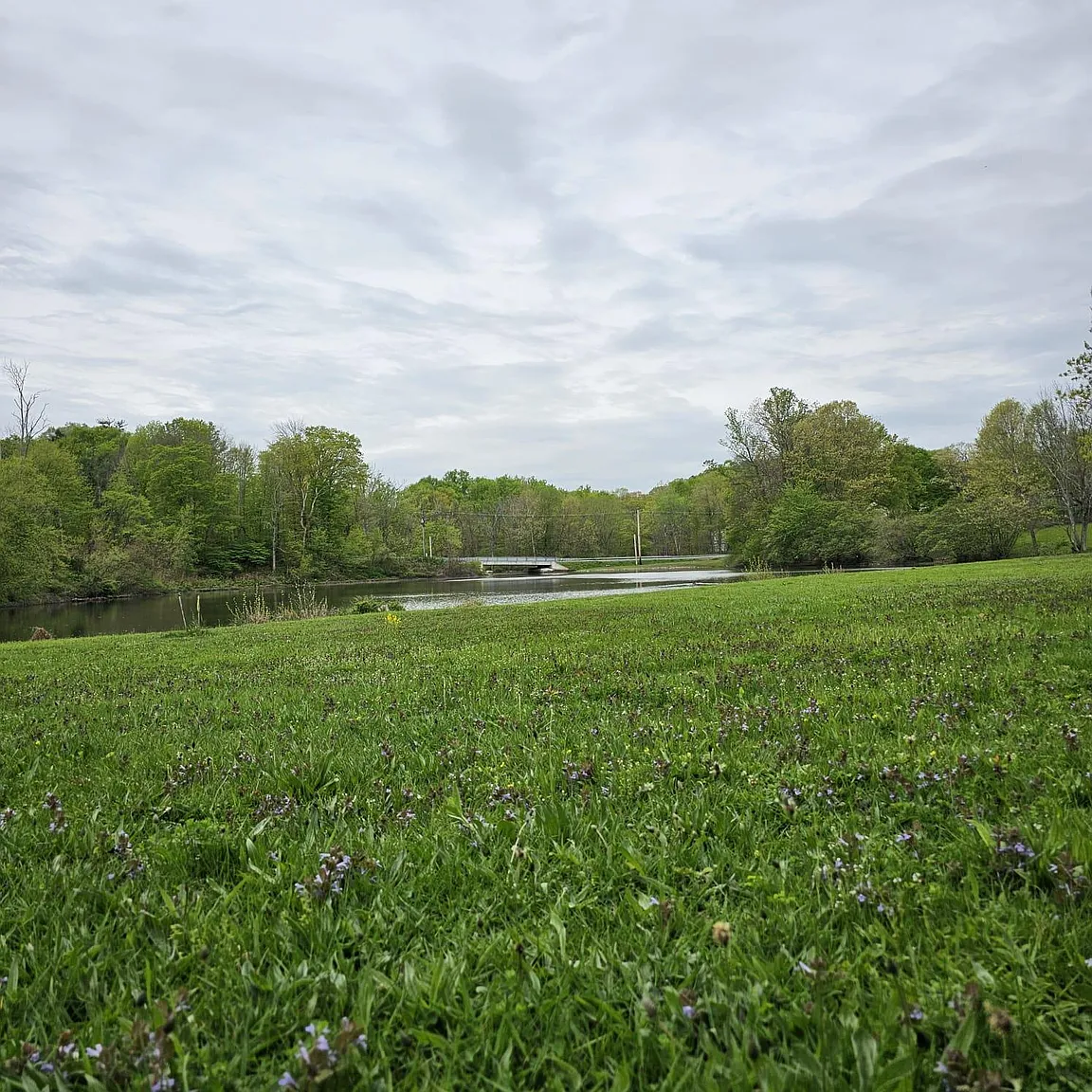 S Plank Road photo 1
