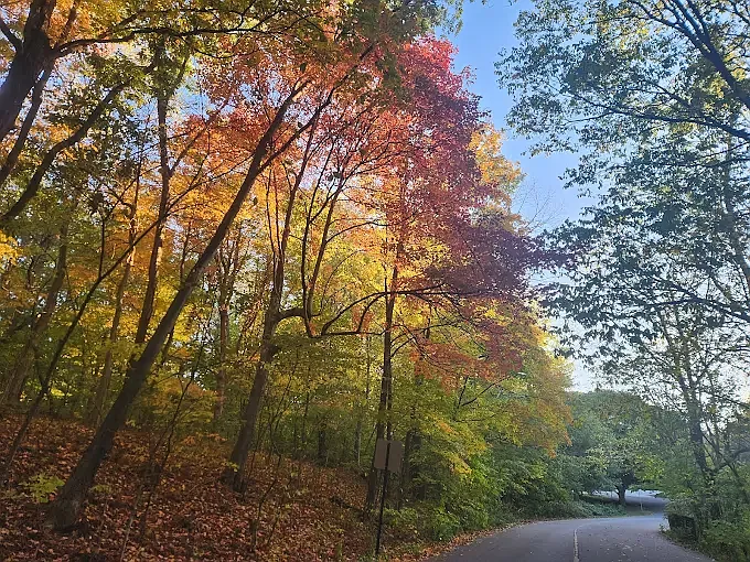 Cherokee Park is two minutes away.