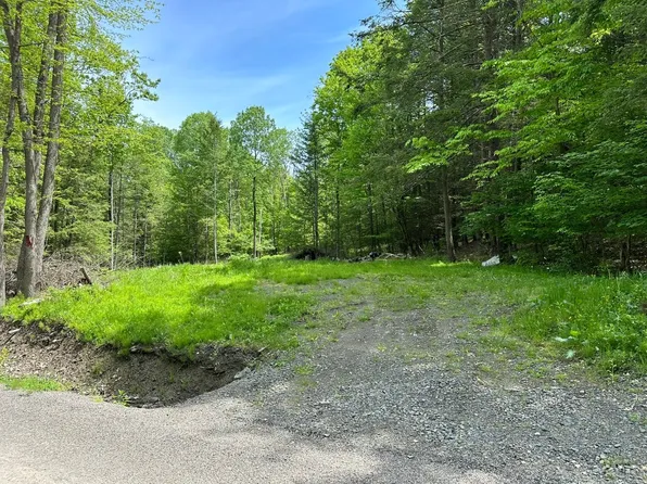 0 Shady Hill Rd, Apalachin, NY 13732