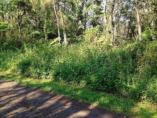 2nd image of 39th Ave