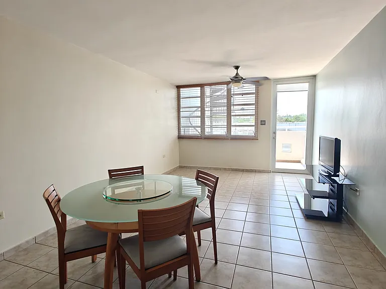 Sala-Comedor & acceso al balcon.