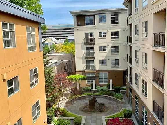 Courtyard view from living room