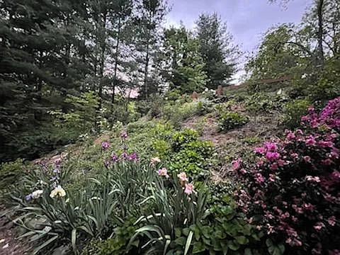 201 Covewood Trl — Photo 24