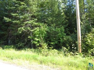 Xxx Moose Lake Rd, Ely, MN 55731