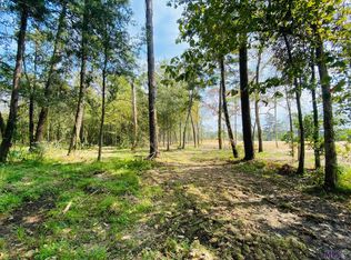 9069 Hillon Hood Rd, Denham Springs, LA 70726