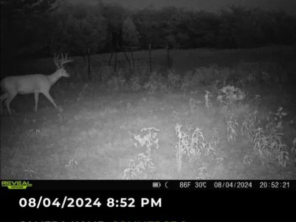 Fm 3218, Commerce, TX 75428